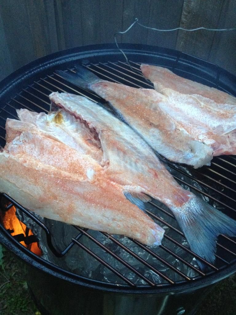 Jerky and Rock Fish The Virtual er Bulletin Board